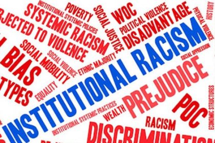 A graphic displays terms relating to systemic racism and social injustice within the vet sector.